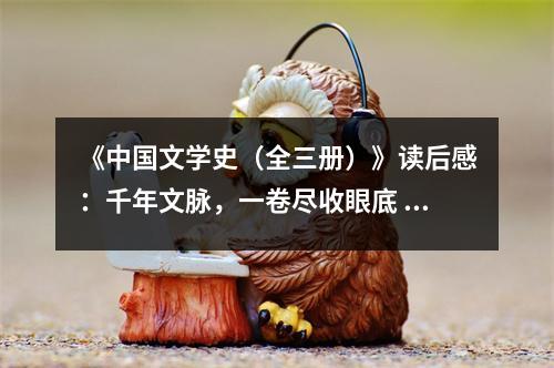 《中國文學(xué)史（全三冊）》讀后感：千年文脈，一卷盡收眼底 (900字)