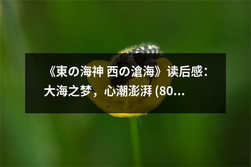 《東の海神 西の滄?！纷x后感：大海之夢(mèng)，心潮澎湃 (800字)