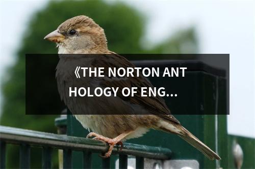 《THE NORTON ANTHOLOGY OF ENGLISH LITERATURE》讀后感：跨越時(shí)空的文學(xué)盛宴 (700字)