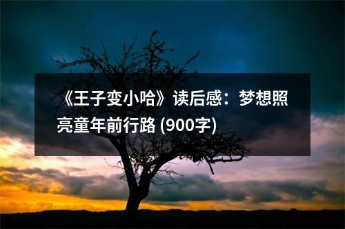 《王子變小哈》讀后感：夢(mèng)想照亮童年前行路 (900字)
