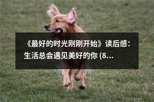 《最好的時(shí)光剛剛開始》讀后感：生活總會(huì)遇見美好的你 (800字)