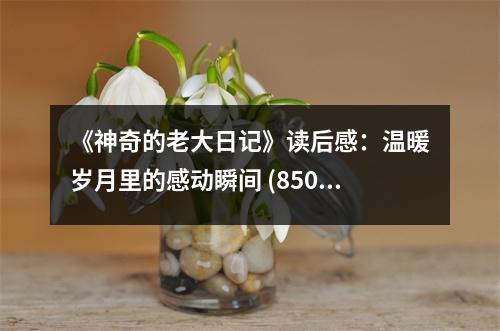 《神奇的老大日記》讀后感：溫暖歲月里的感動瞬間 (850字)