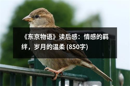 《東京物語》讀后感：情感的羈絆，歲月的溫柔 (850字)