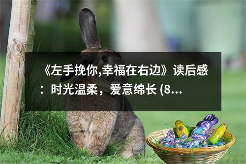 《左手挽你,幸福在右邊》讀后感：時光溫柔，愛意綿長 (800字)