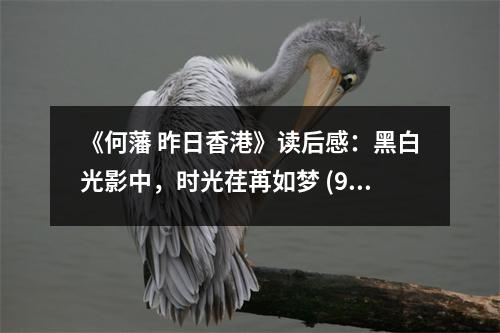《何藩 昨日香港》讀后感：黑白光影中，時光荏苒如夢 (900字)