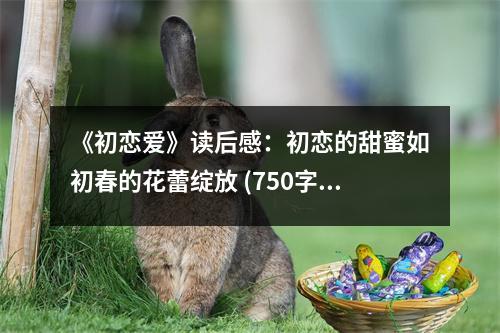 《初戀愛》讀后感：初戀的甜蜜如初春的花蕾綻放 (750字)