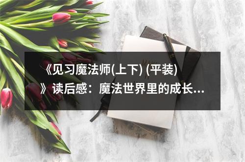 《見(jiàn)習(xí)魔法師(上下) (平裝)》讀后感：魔法世界里的成長(zhǎng)之旅，夢(mèng)想照亮前行的路 (800字)