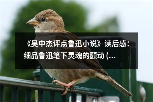 《吳中杰評點魯迅小說》讀后感：細品魯迅筆下靈魂的顫動 (850字)