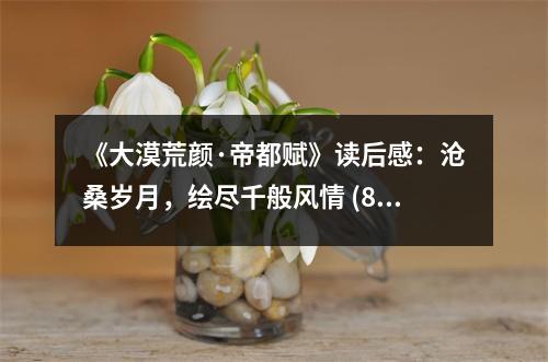 《大漠荒顏·帝都賦》讀后感：滄桑歲月，繪盡千般風(fēng)情 (800字)