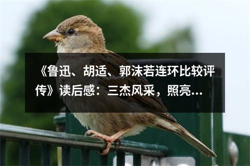 《魯迅、胡適、郭沫若連環(huán)比較評傳》讀后感：三杰風(fēng)采，照亮文化星空 (800字)