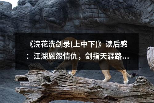 《浣花洗劍錄(上中下)》讀后感：江湖恩怨情仇，劍指天涯路 (1050字)