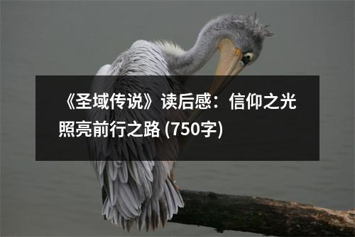 《圣域傳說》讀后感：信仰之光照亮前行之路 (750字)