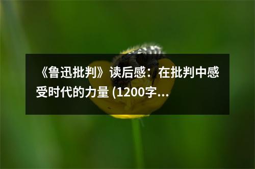 《魯迅批判》讀后感：在批判中感受時代的力量 (1200字)