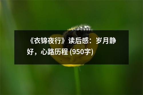 《衣錦夜行》讀后感：歲月靜好，心路歷程 (950字)