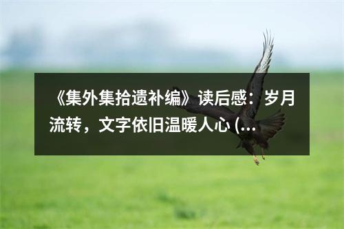 《集外集拾遺補(bǔ)編》讀后感：歲月流轉(zhuǎn)，文字依舊溫暖人心 (800字)