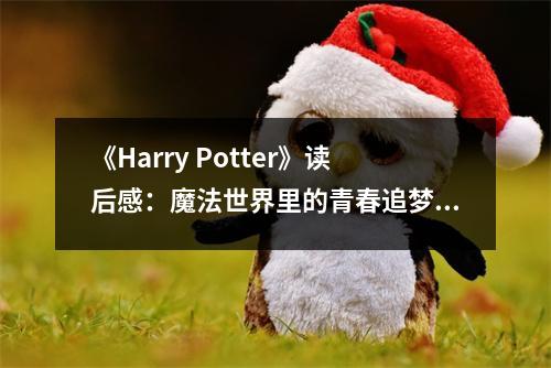 《Harry Potter》讀后感：魔法世界里的青春追夢之旅 (900字)