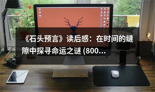 《石頭預(yù)言》讀后感：在時(shí)間的縫隙中探尋命運(yùn)之謎 (800字)