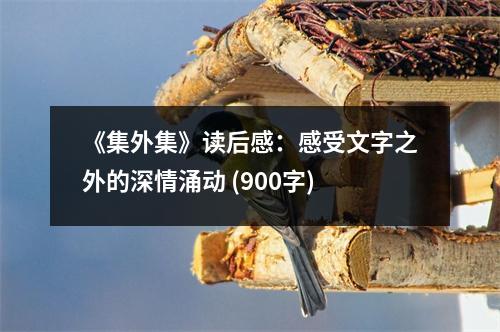 《集外集》讀后感：感受文字之外的深情涌動(dòng) (900字)