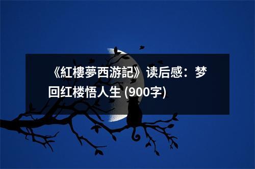 《紅樓夢(mèng)西游記》讀后感：夢(mèng)回紅樓悟人生 (900字)