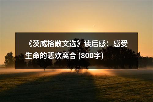 《茨威格散文選》讀后感：感受生命的悲歡離合 (800字)