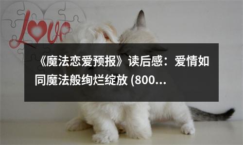 《魔法戀愛預(yù)報》讀后感：愛情如同魔法般絢爛綻放 (800字)