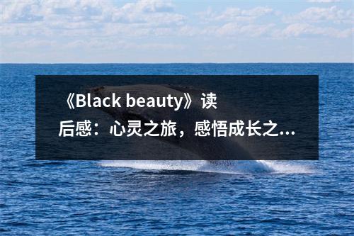 《Black beauty》讀后感：心靈之旅，感悟成長(zhǎng)之美 (800字)