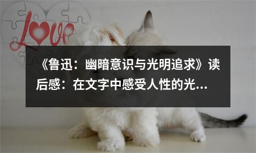 《魯迅：幽暗意識(shí)與光明追求》讀后感：在文字中感受人性的光輝 (750字)