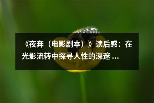 《夜奔（電影劇本）》讀后感：在光影流轉(zhuǎn)中探尋人性的深邃 (900字)