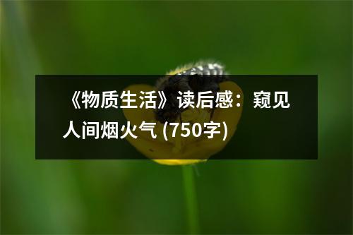 《物質(zhì)生活》讀后感：窺見人間煙火氣 (750字)