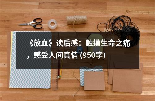 《放血》讀后感：觸摸生命之痛，感受人間真情 (950字)