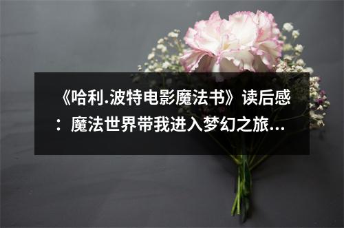 《哈利.波特電影魔法書》讀后感：魔法世界帶我進入夢幻之旅 (800字)
