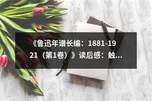 《魯迅年譜長編：1881-1921（第1卷）》讀后感：觸摸百年風(fēng)雨路，傳承不朽文化魂 (950字)
