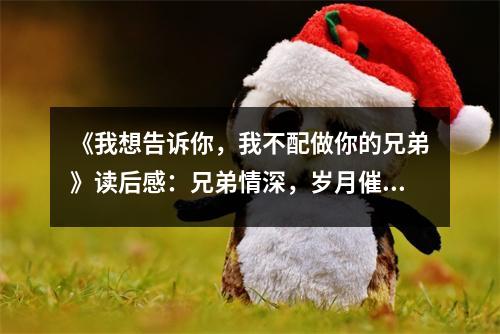 《我想告訴你，我不配做你的兄弟》讀后感：兄弟情深，歲月催人淚 (650字)