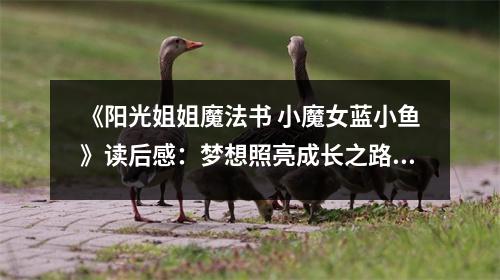 《陽光姐姐魔法書 小魔女藍小魚》讀后感：夢想照亮成長之路 (950字)