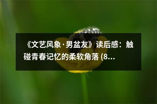 《文藝風(fēng)象·男盆友》讀后感：觸碰青春記憶的柔軟角落 (800字)