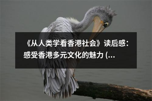 《從人類學(xué)看香港社會》讀后感：感受香港多元文化的魅力 (1000字)