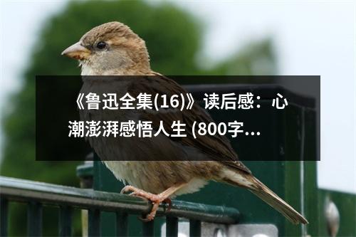 《魯迅全集(16)》讀后感：心潮澎湃感悟人生 (800字)