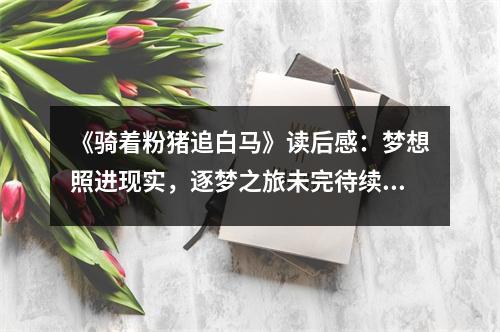 《騎著粉豬追白馬》讀后感：夢想照進現(xiàn)實，逐夢之旅未完待續(xù) (850字)