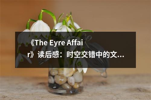 《The Eyre Affair》讀后感：時(shí)空交錯(cuò)中的文學(xué)冒險(xiǎn) (750字)