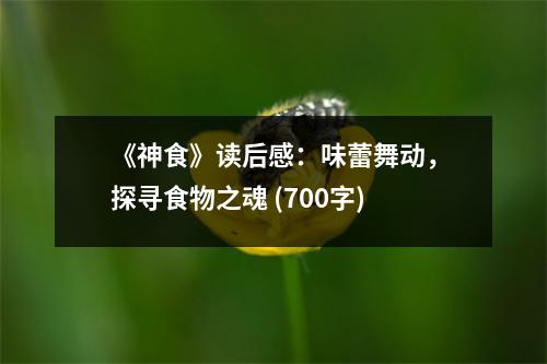 《神食》讀后感：味蕾舞動(dòng)，探尋食物之魂 (700字)