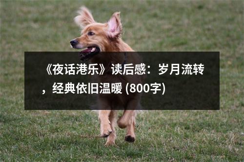 《夜話港樂》讀后感：歲月流轉(zhuǎn)，經(jīng)典依舊溫暖 (800字)
