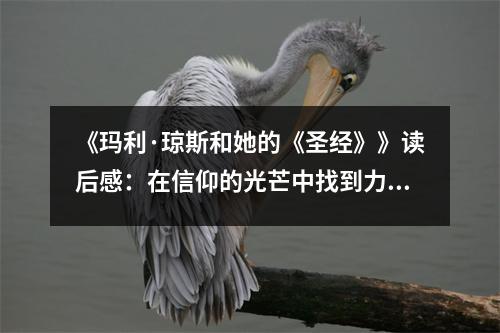 《瑪利·瓊斯和她的《圣經(jīng)》》讀后感：在信仰的光芒中找到力量 (1100字)