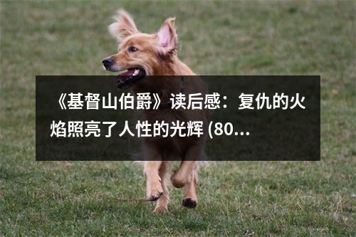 《基督山伯爵》讀后感：復(fù)仇的火焰照亮了人性的光輝 (800字)