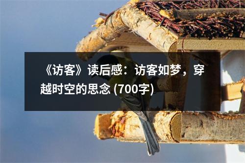 《訪客》讀后感：訪客如夢，穿越時空的思念 (700字)
