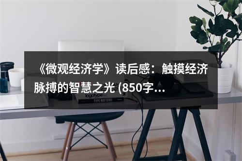 《微觀經(jīng)濟學(xué)》讀后感：觸摸經(jīng)濟脈搏的智慧之光 (850字)