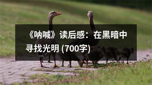 《吶喊》讀后感：在黑暗中尋找光明 (700字)
