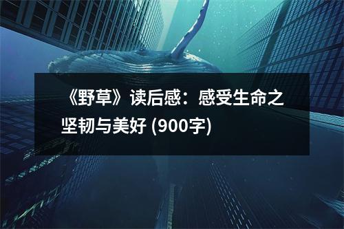 《野草》讀后感：感受生命之堅(jiān)韌與美好 (900字)