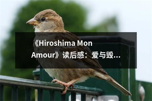 《Hiroshima Mon Amour》讀后感：愛與毀滅的永恒回響 (750字)
