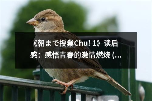 《朝まで授業(yè)Chu! 1》讀后感：感悟青春的激情燃燒 (700字)