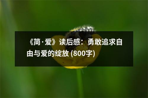 《簡(jiǎn)·愛(ài)》讀后感：勇敢追求自由與愛(ài)的綻放 (800字)